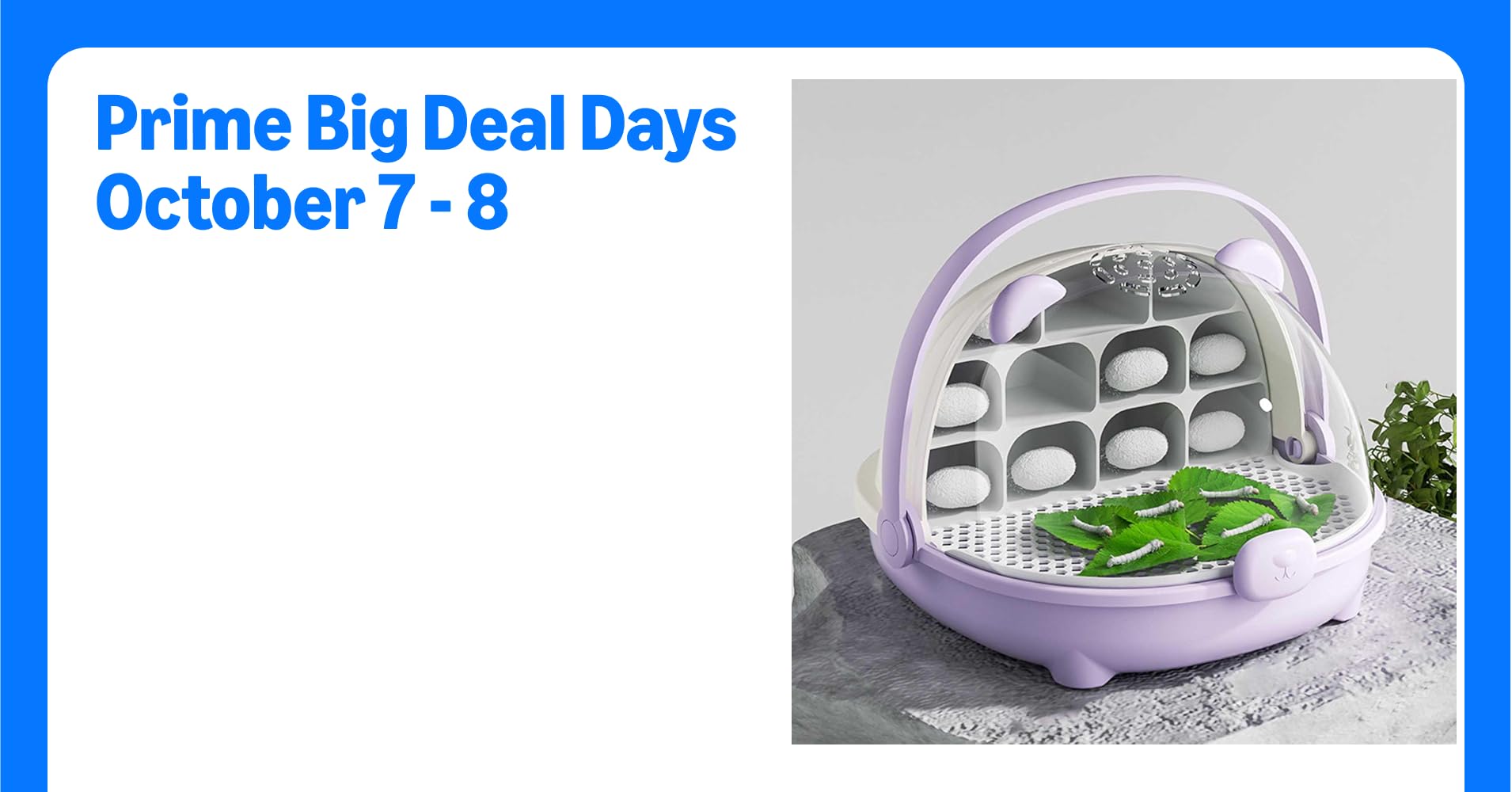 Silkworm Grow Box, Silkworm Breeding Capsule ...