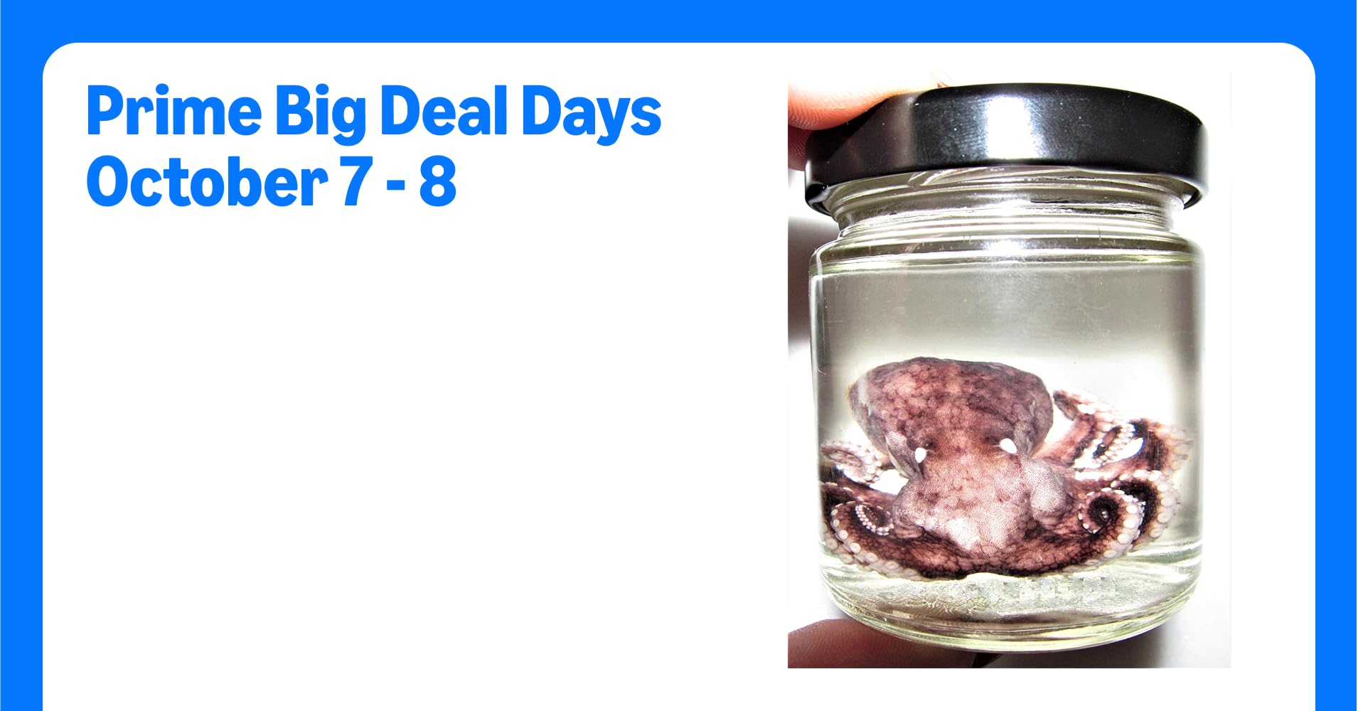 BicBugs Real Octopus Purple Preserved in JAR Vial ...