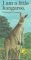 Hardcover I Am a Little Kangaroo (I Am a Little Animal Series) Book
