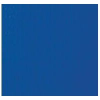 WaterWarden SCSB16X32 Bâche De Sécurité Pour Piscine Taille L 20 X 40RS