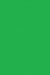 Paperback BILINGUAL LABELS Clothing Book