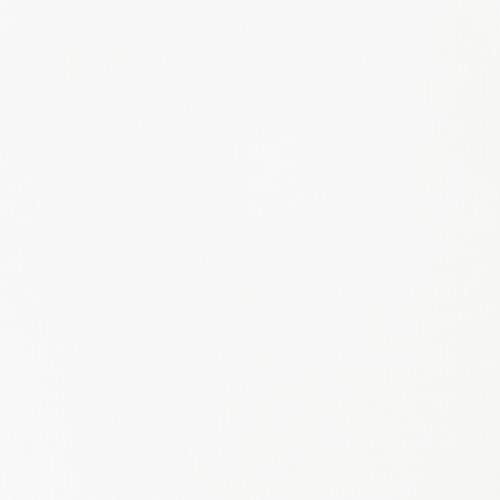 Liquitex 88700229 Basics - Peinture acrylique, peinture artistique monopigmentée, résistante à la lumière, qualité archive, finition satinée, tube de 250 ml - Blanc De Titane – vue 2