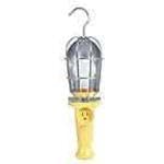 Woodhead/Molex, 1301020048, A21 Incandescent Lamp (1 Item/s)