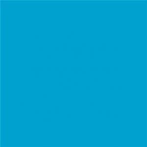 Adiserve 100 Serviettes Cocktails biodégradables 20 x 20 cm (Turquoise)