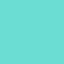 1 Pcs Green