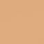 NC37 Medium Beige Neutral