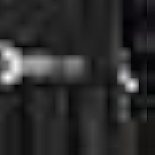 Vintage Goth Black Dress Costume Gothic Cosplay Dance Tulle Lace Skirt Halloween Party Outfit with Necklace