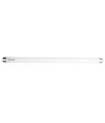 Bulbrite T8 Linear Fluorescent Light Bulb