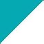 Teal/White