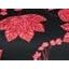 Black Red Floral