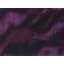 Purple Zebra