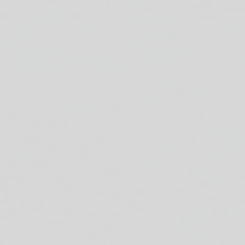 Image of Rust-Oleum 7515838 Professional High Performance Enamel Spray Paint, 14 oz, Aluminum (Pack of 1)