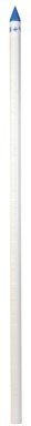 Campbell PVC Well Point 1-1/4 in. x 60 in. L
