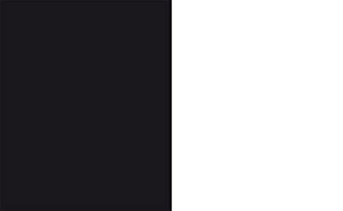 Choupette la Vie Enchantée d'un Chat Fashion