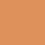 4C1 Praline​ - medium with cool undertones (19)
