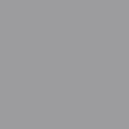Dupli-Color BHA0987 7 Perfect Match Automotive Spray Paint – Honda Alabaster Silver Metallic thumb #1