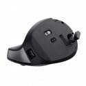 Mouse Wireless Trust Bayo Ii Ergo Wrl - 7