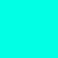 Solid Mint V2