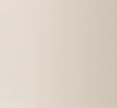 image for Rust-Oleum 348856-6PK Painter's Touch 2X Ultra Cover Spray Paint, 12 o