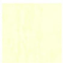 UbN66 203g  0.2mm A4TCY 500 ܂