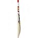 SS Maximus Kashmir Willow Cricket Bat with Bat Cover Included : 2019 Edition