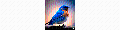 BluebirdSales logo