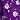Image of Womens Eloura Waterproof Raincoat for Women (IN, Alpha, L, Camellia Purple White Flower)