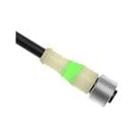 MQDC-515-GYN, Sensor Cordset, Str M12 F 5p to Free End, 5wire 5m, Black PVC Jacket, 811457