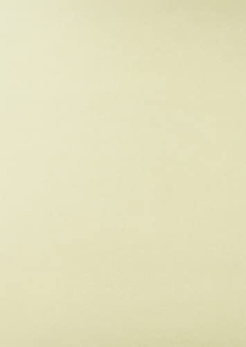 SAKAEテクニカルペーパー フリークラフトペーパーS 70g/m2 A3 ライトアイボリー 50枚 AZ FK-A3-LI amazon仕様