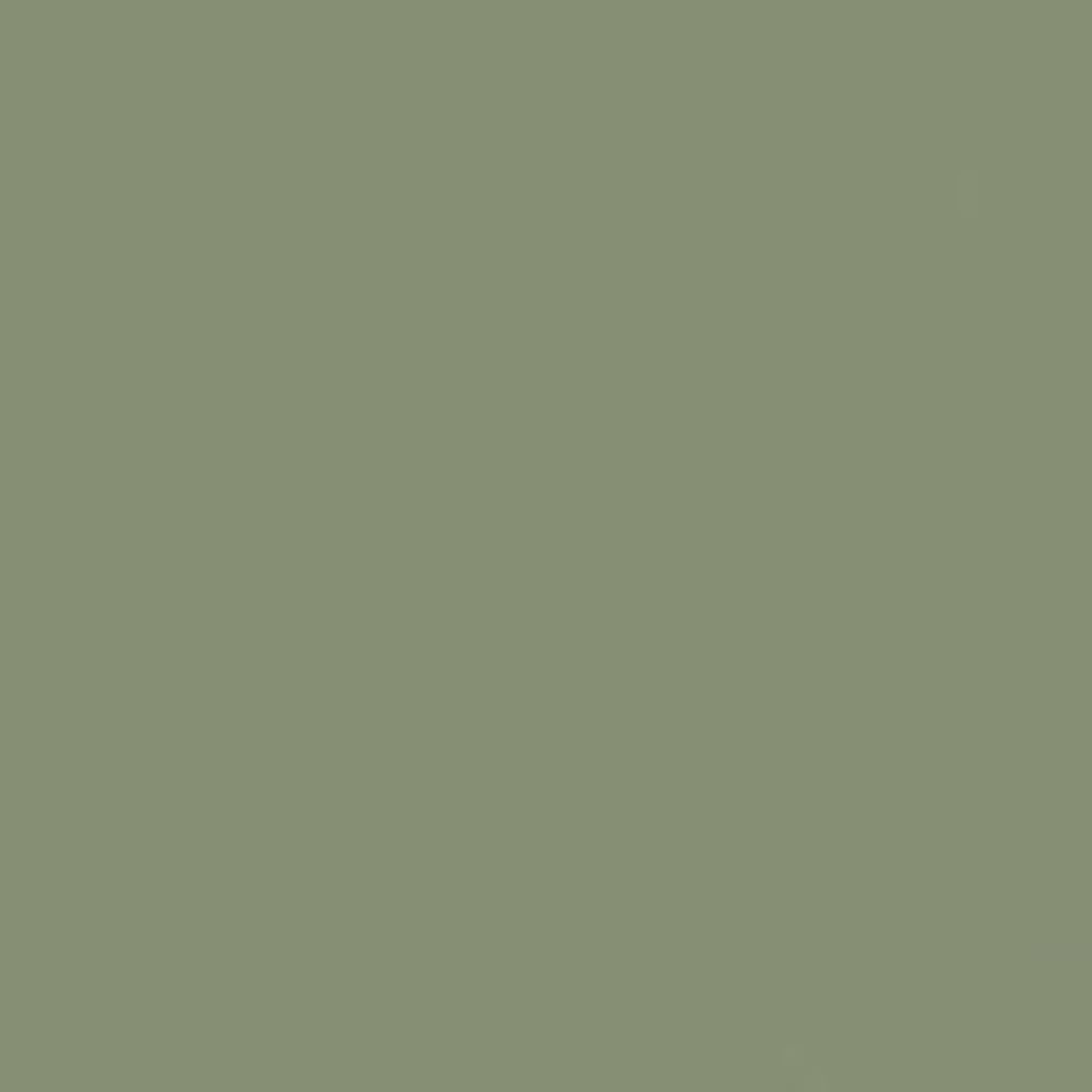 まつりゅうページ 71ziVrkocJL._UF350,350_QL80_.jpg