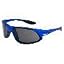 Blue Frame/Smoke Lens