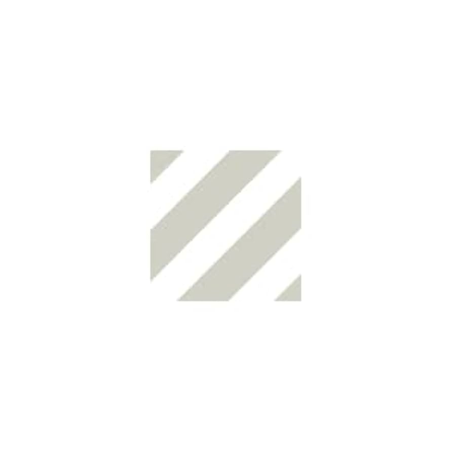 シルクスクリーン シルクスクリーン 印刷機 シルクスクリーン印刷機 (ZX-6090, ZX