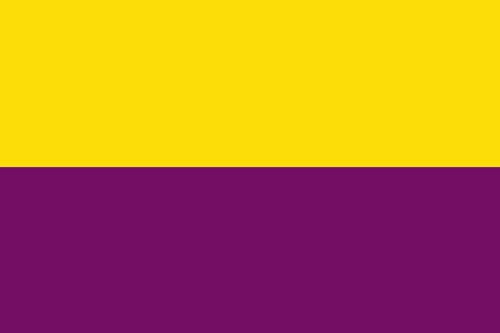 magFlags Bandera Large Torrejón de Ardoz | bandera horizontal | 1.35m² | 90x150cm