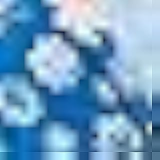 junior Girl Printed Flowry Sleeveless Blouse Blouse (pack of 1)