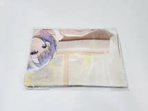 Amazon.co.jp: ビッグタペストリー アズールレーン×ライザのアトリエ2 