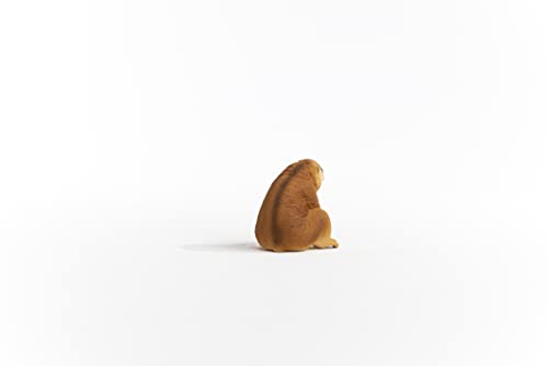 schleich 14852 Plumplori, für Kinder ab 3+ Jahren, WILD LIFE - Spielfigur – Bild 5