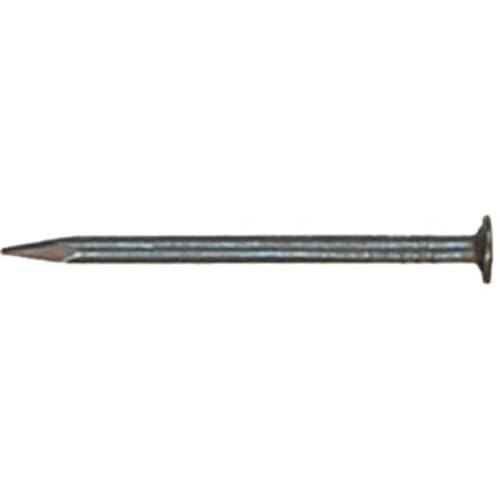 2.5 in. Electro Galvanized Roof Nail 5 lbs