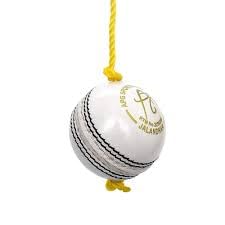 Vibco Cricket Leather red Hanging Practice Cricket Ball Pack of 1 (White) (B0D4VX1K65) Amazon Price History, Amazon Price Tracker