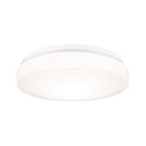 Paulmann 78898 HomeSpa plafonnier Axin IP44 260 mm max. 18 watts plafonnier Blanc lampe de salle de bain plastique E27