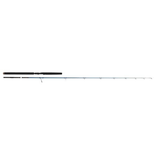 Savage Gear SGS2 Offshore Plug Spinning Rod, Cannes à Pêche, Cannes à Pêche Spinning, Predator, Brochet, Perche, Truite, Sandre, Unisexe, Noir, 2,50 m,...