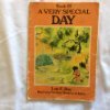 Paperback A very special day Book