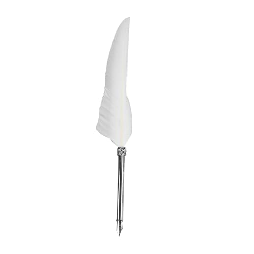 Rcniso Pluma Retro, Juego de Cuaderno de Lujo para Escribir, Caja de Regalo, Estilo Europeo Elegante para Entusiastas de la Papelería (Blanco)