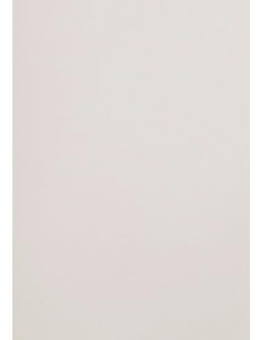 Netuno 50 hojas de cárton de colores gris claro A4 210x297 mm 300g Malmero Cendre cartulina imprimible papel grueso para manualidades tarjetas álbumes folletos invitaciones Navidad cajas menús