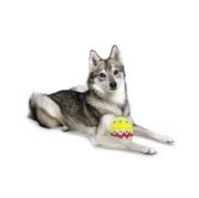 Juguete para perros Midlee huevo de pascua pequeño miniatura 3