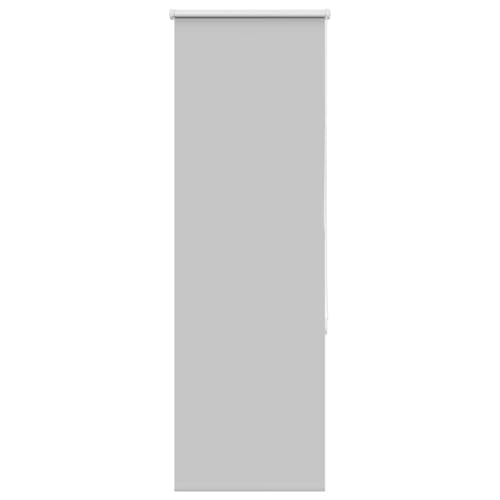 LAPOOH Estor Enrollable Opaco Gris Claro 40x150 cm Tela Ancho 35,7 cm, Ventanas Dormitorio, Persianas Enrollables Exterior, Estores Cocina, Estor Ventana, Estores para Ventanas es - 4011376