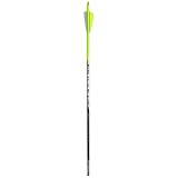 Black Eagle 19/64" Factory Fletched Arrows, Talon 2.5" Shiel...