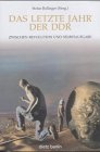 Das letzte Jahr der DDR. Zwischen Revolution und Selbstaufgabe