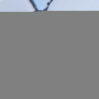 Tile Decals, PVC Non?Toxic Tile Sticker, for Window Display Door