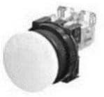 Fuji Electric AR30M5R-22R Switch Push Button