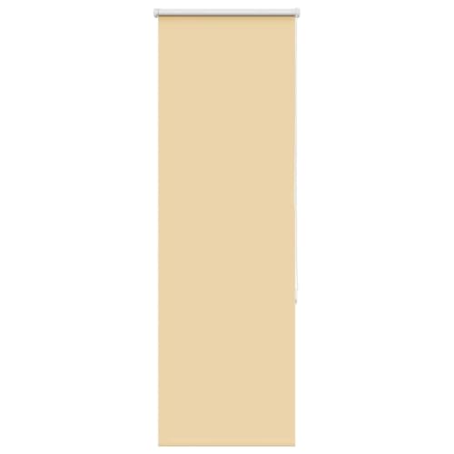 LAPOOH Estor Enrollable Opaco Beige 55x150 cm Tela Ancho 55,7 cm, Ventanas Dormitorio, Persianas Enrollables Exterior, Estores Cocina, Estor Ventana, Estores para Ventanas es - 4010730